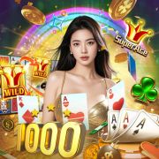 Account xiaomi